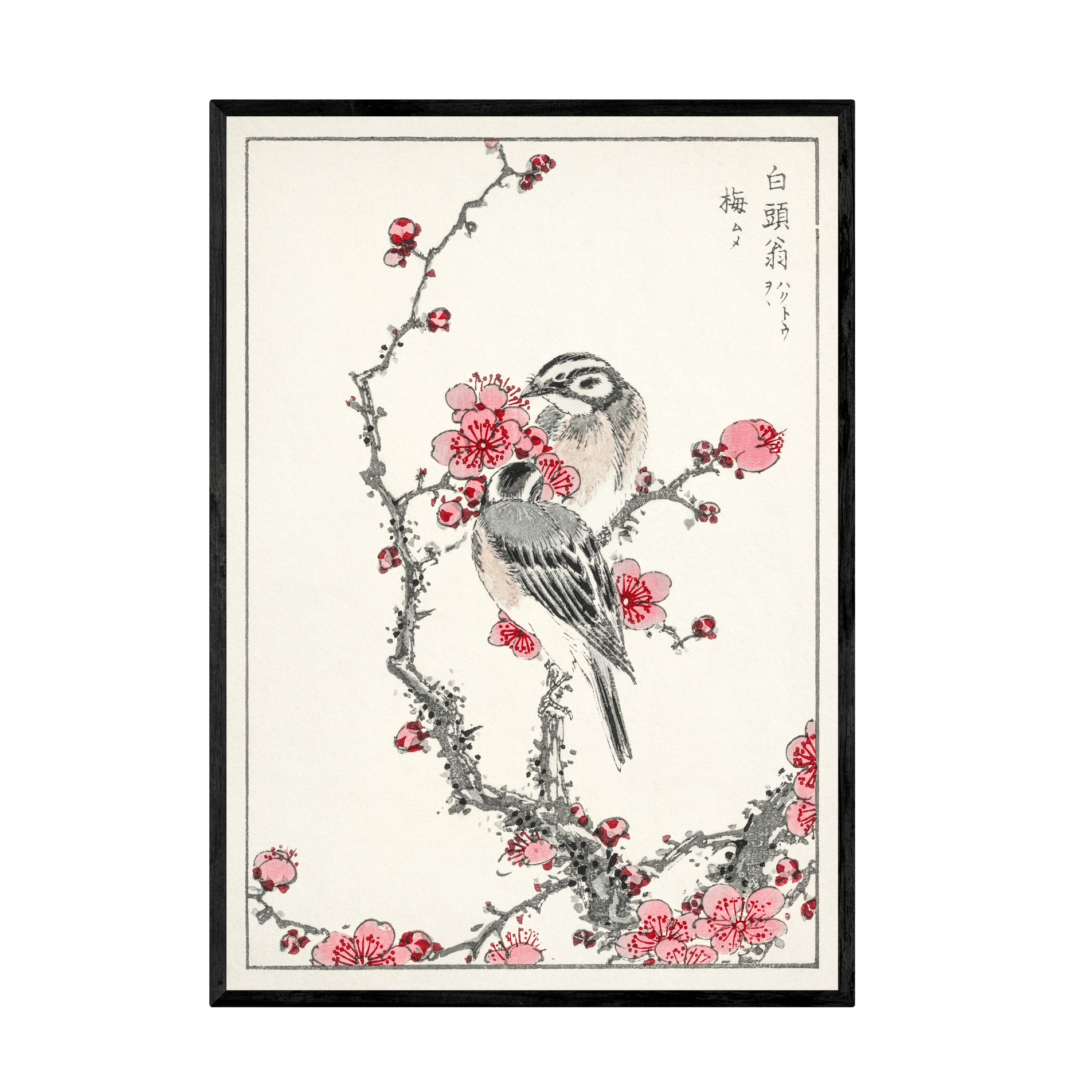 Tableau Cerisier Du Japon - La Maison Du Tableau