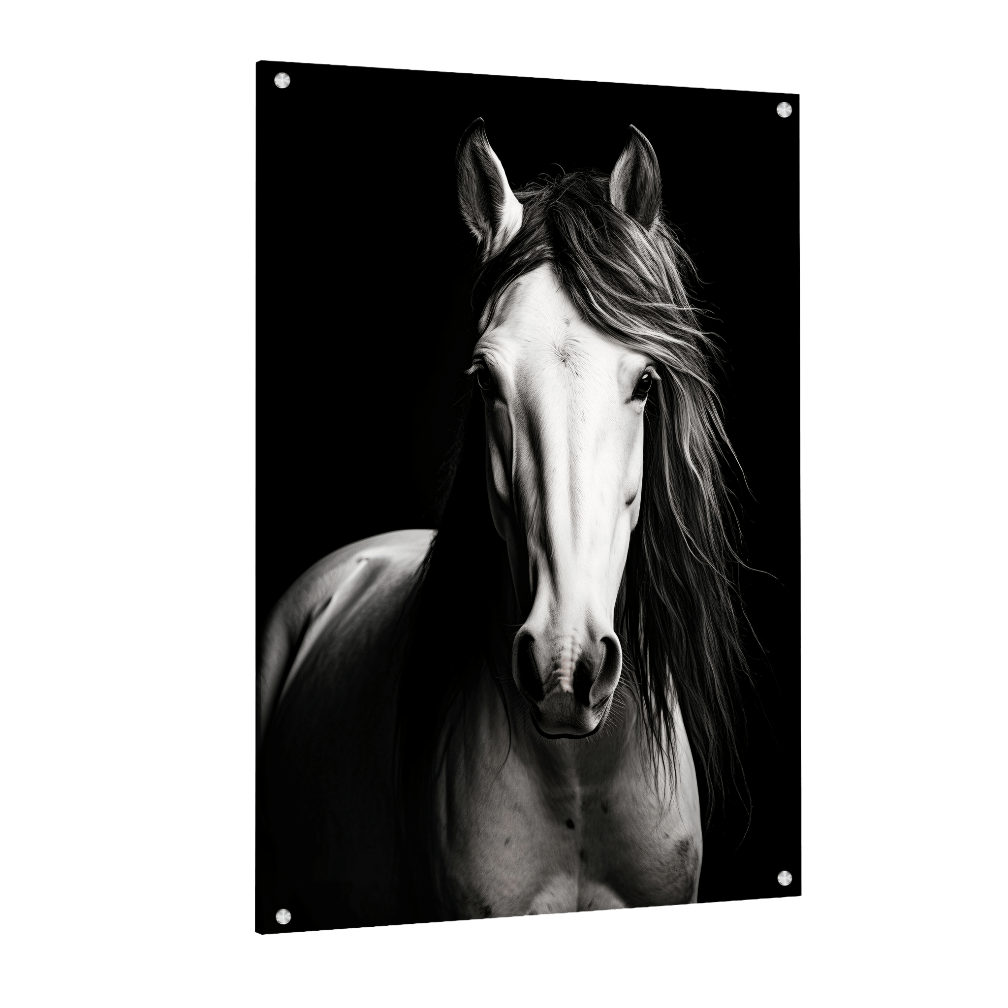 Tableau Cheval Noir et Blanc - La Maison Du Tableau