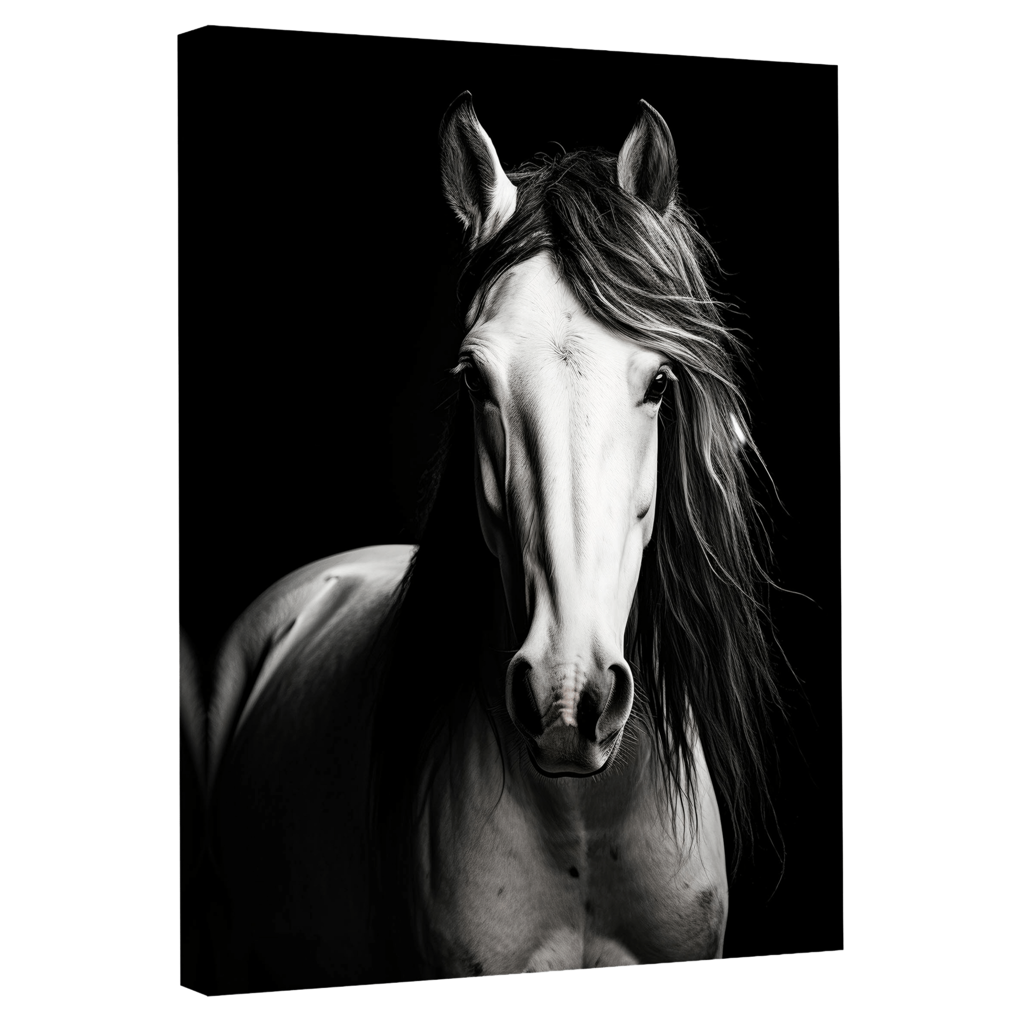 Tableau Cheval Noir et Blanc - La Maison Du Tableau