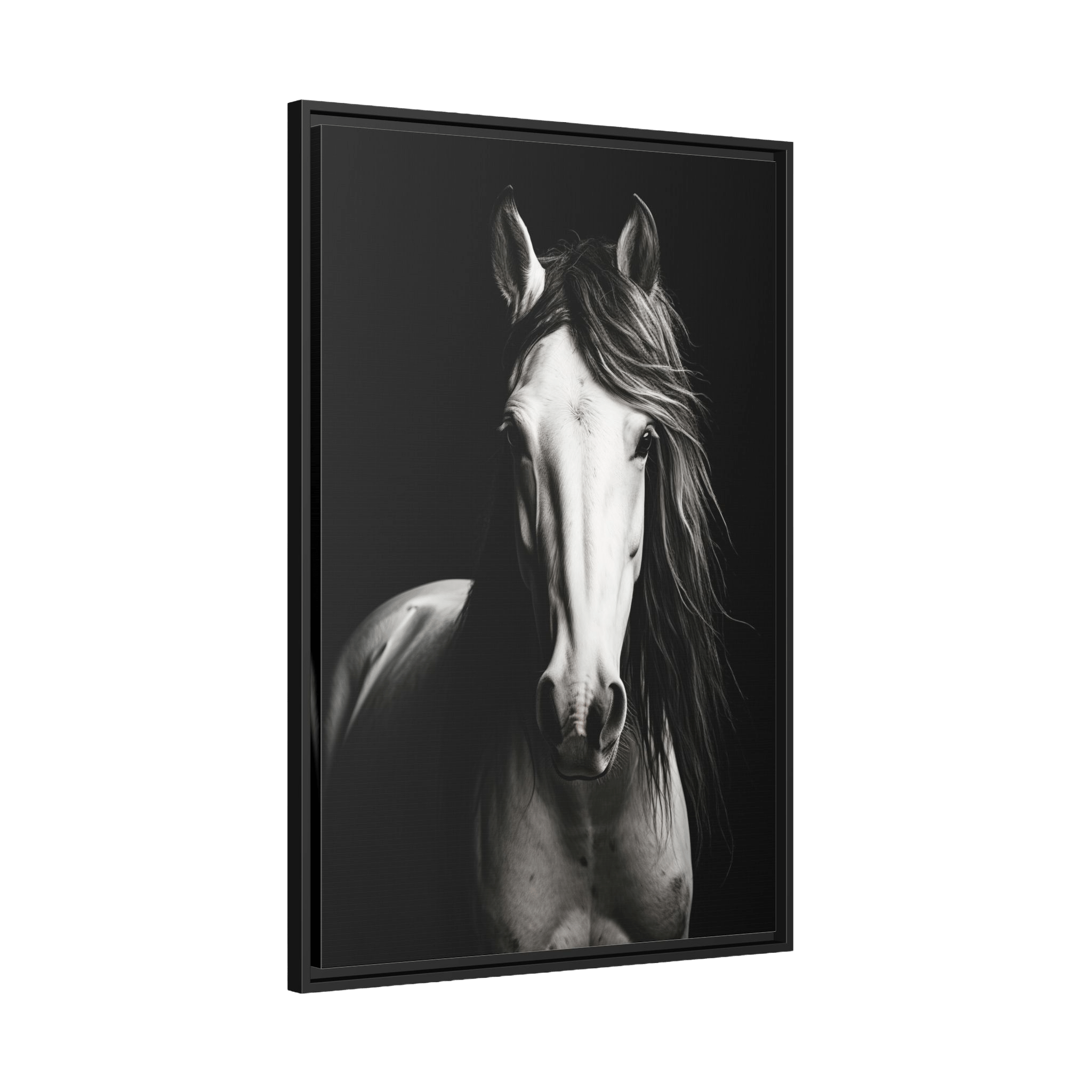 Tableau Cheval Noir et Blanc - La Maison Du Tableau