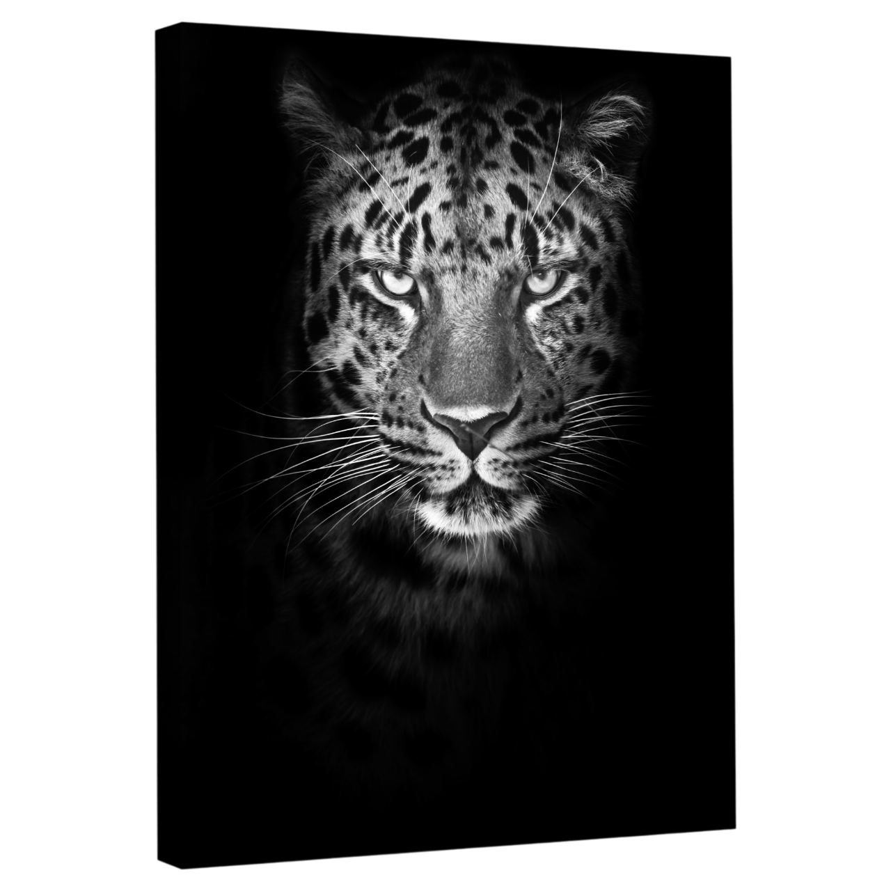 Tableau Noir et Blanc Léopard - La Maison Du Tableau