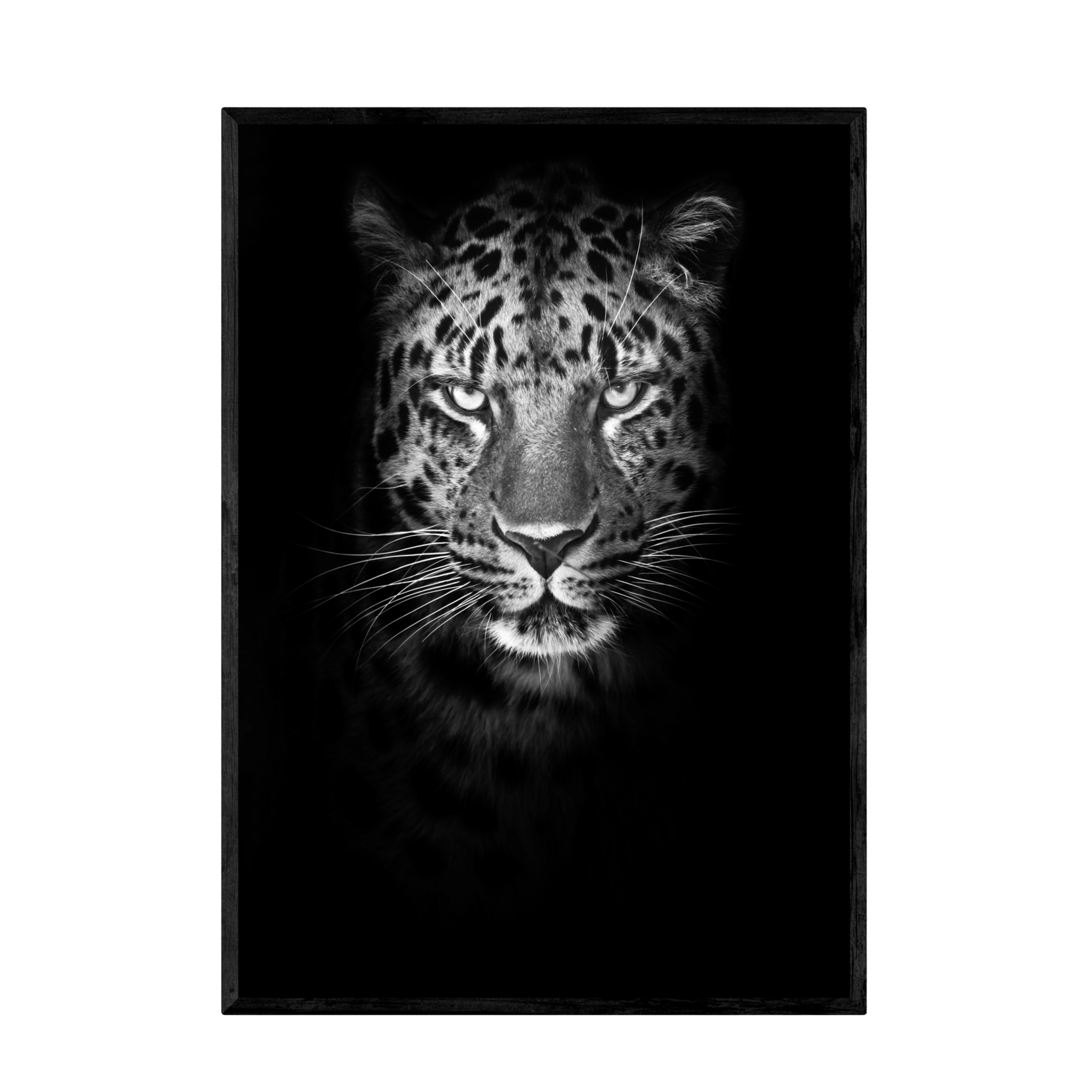 Tableau Noir et Blanc Léopard - La Maison Du Tableau
