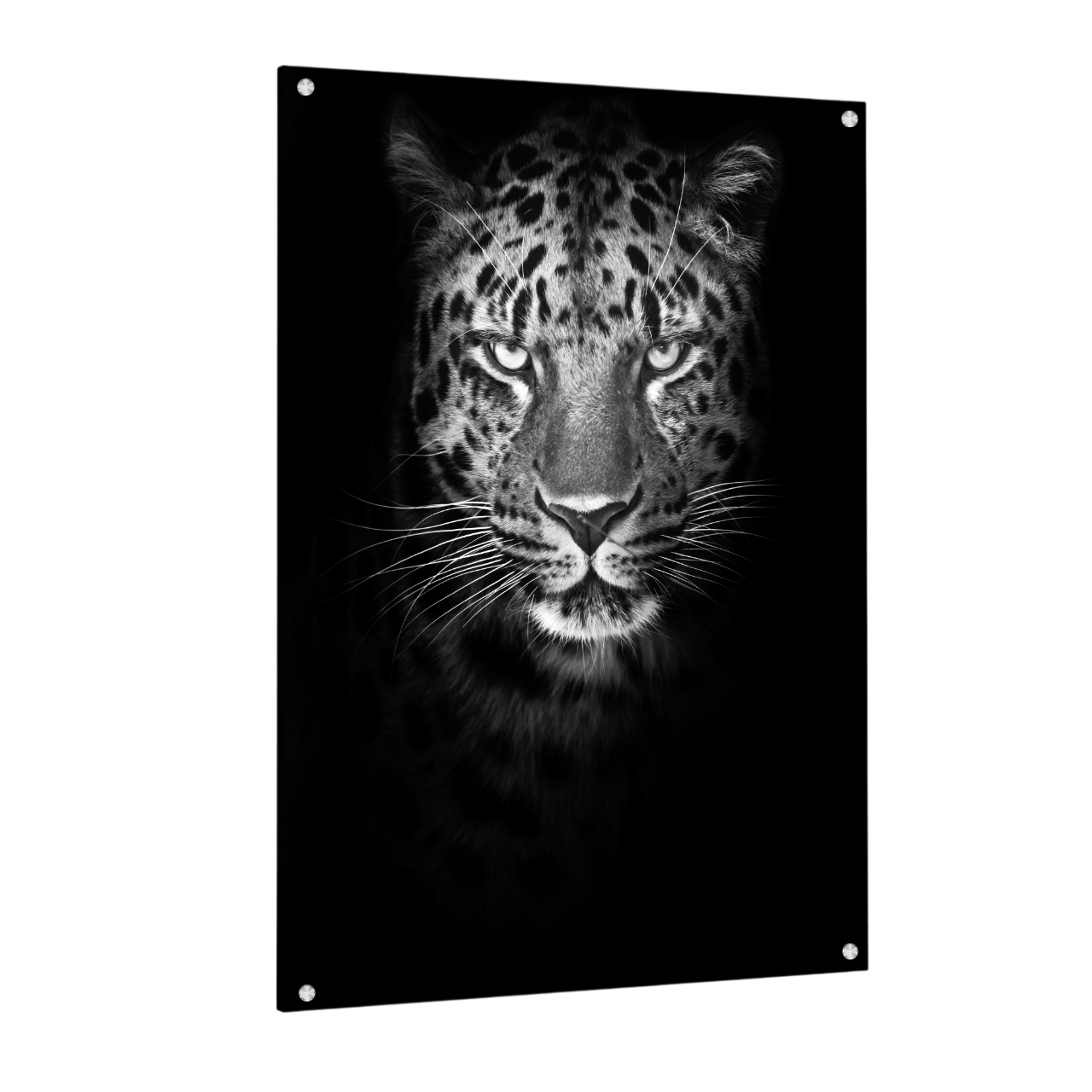 Tableau Noir et Blanc Léopard - La Maison Du Tableau