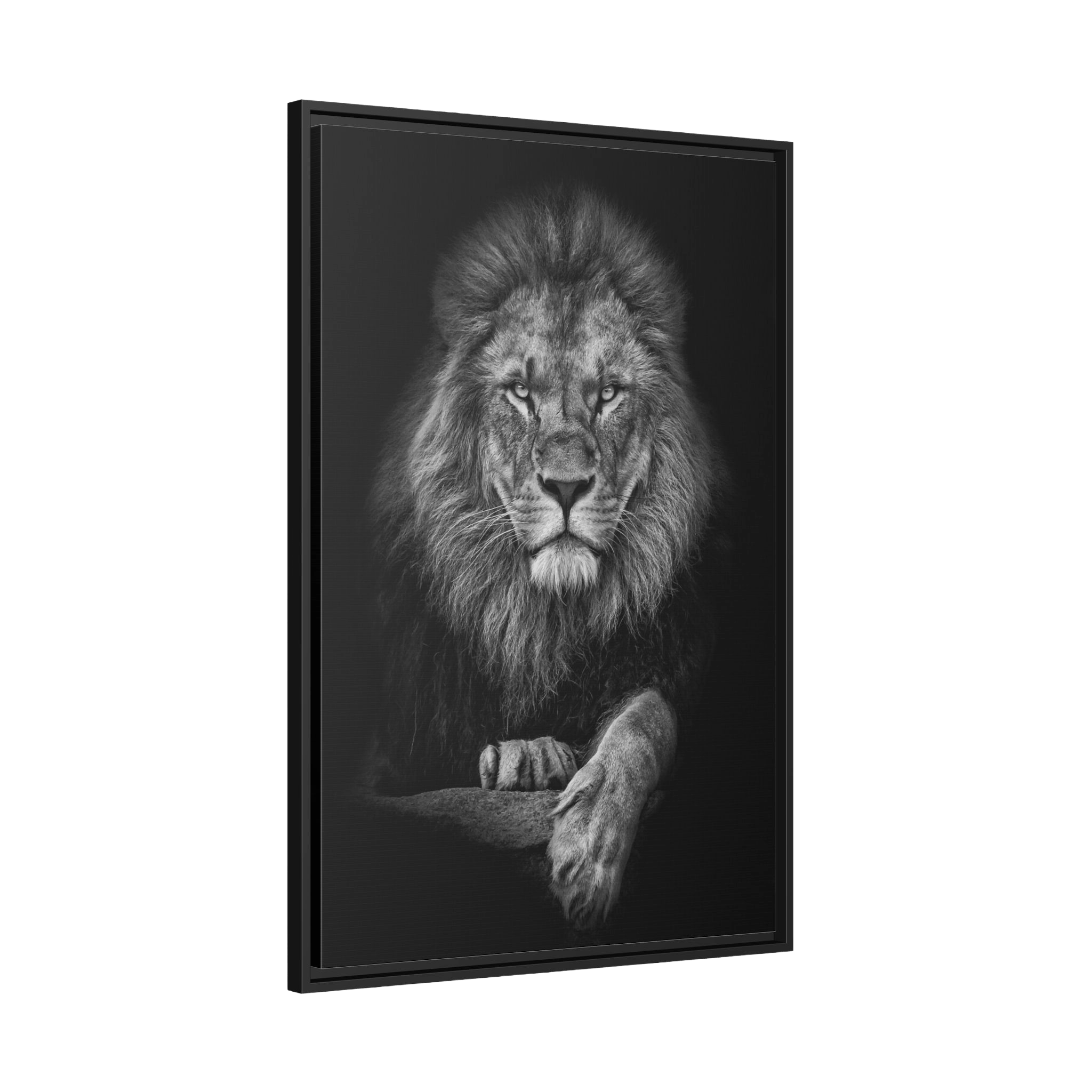 Tableau Noir et Blanc Lion - La Maison Du Tableau