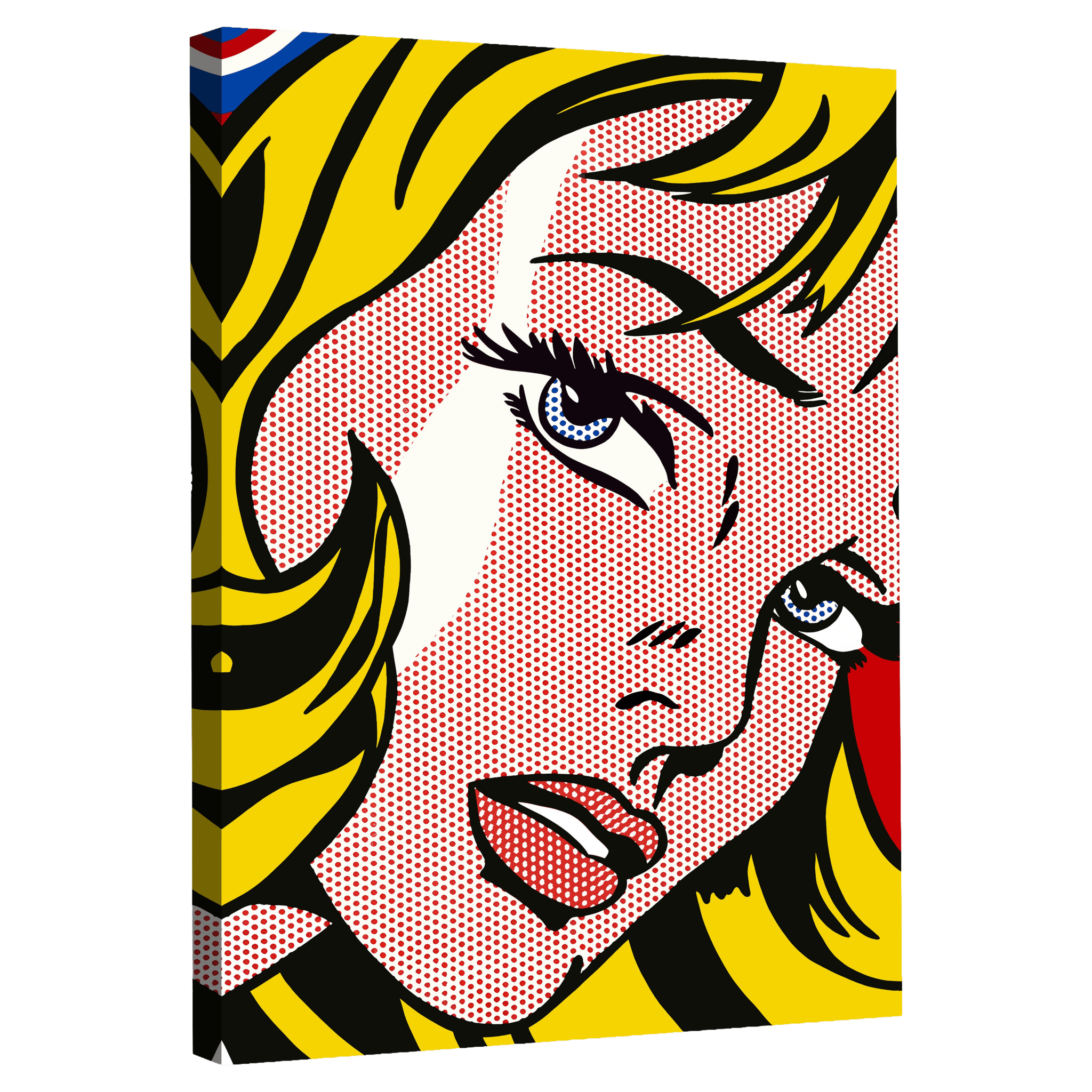 Tableau Visage Femme Pop Art - La Maison Du Tableau