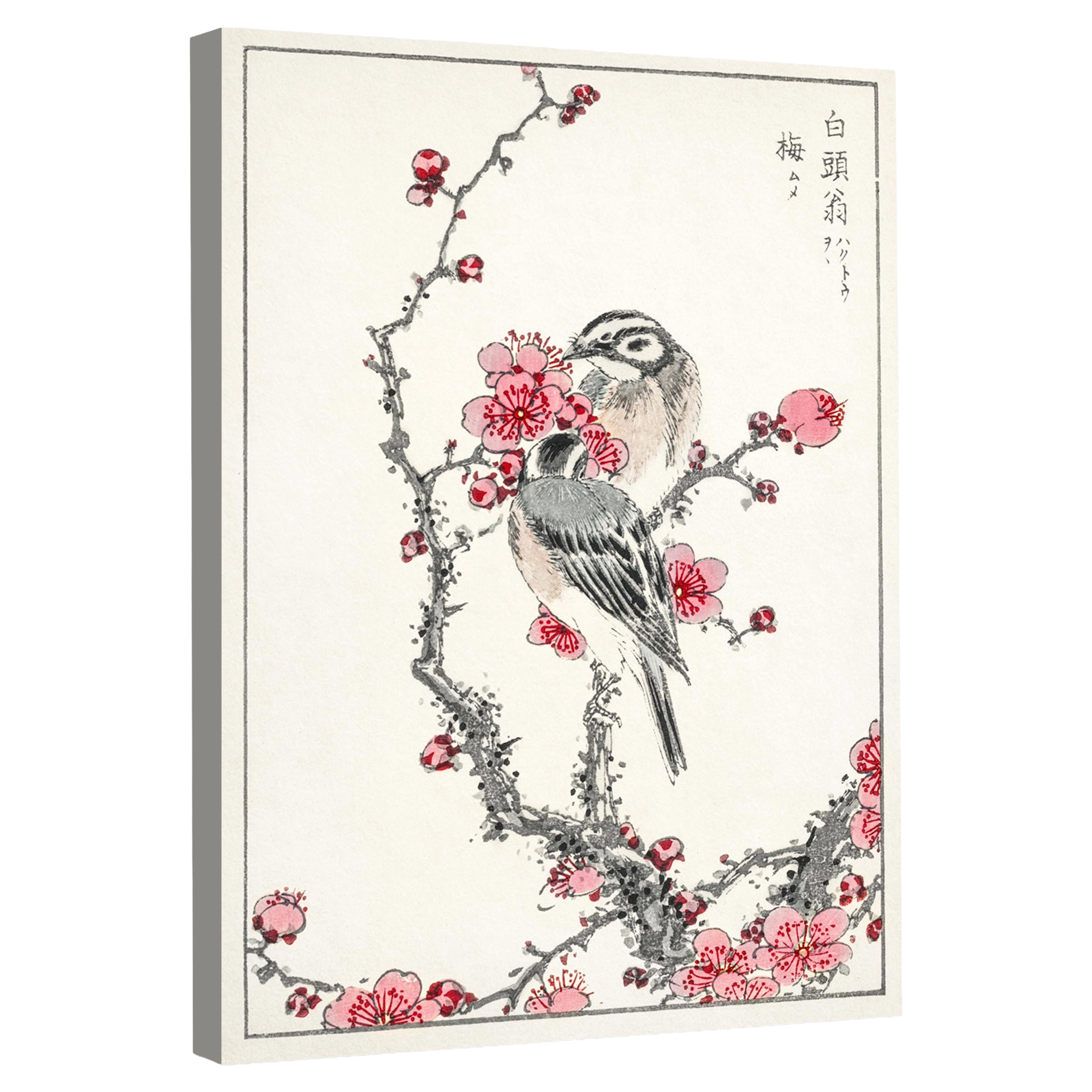 Tableau Cerisier Du Japon