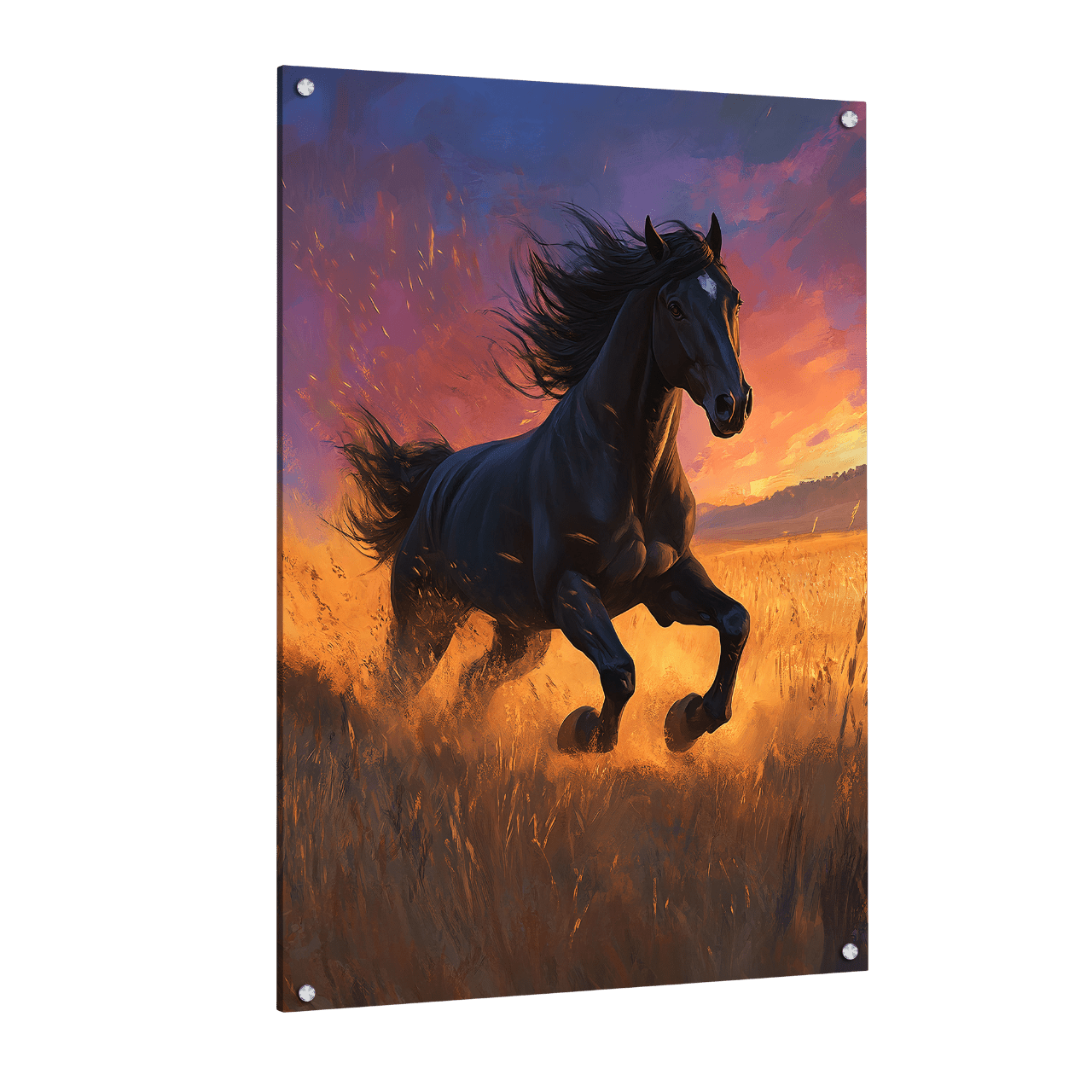 Cheval Tableau - La Maison Du Tableau