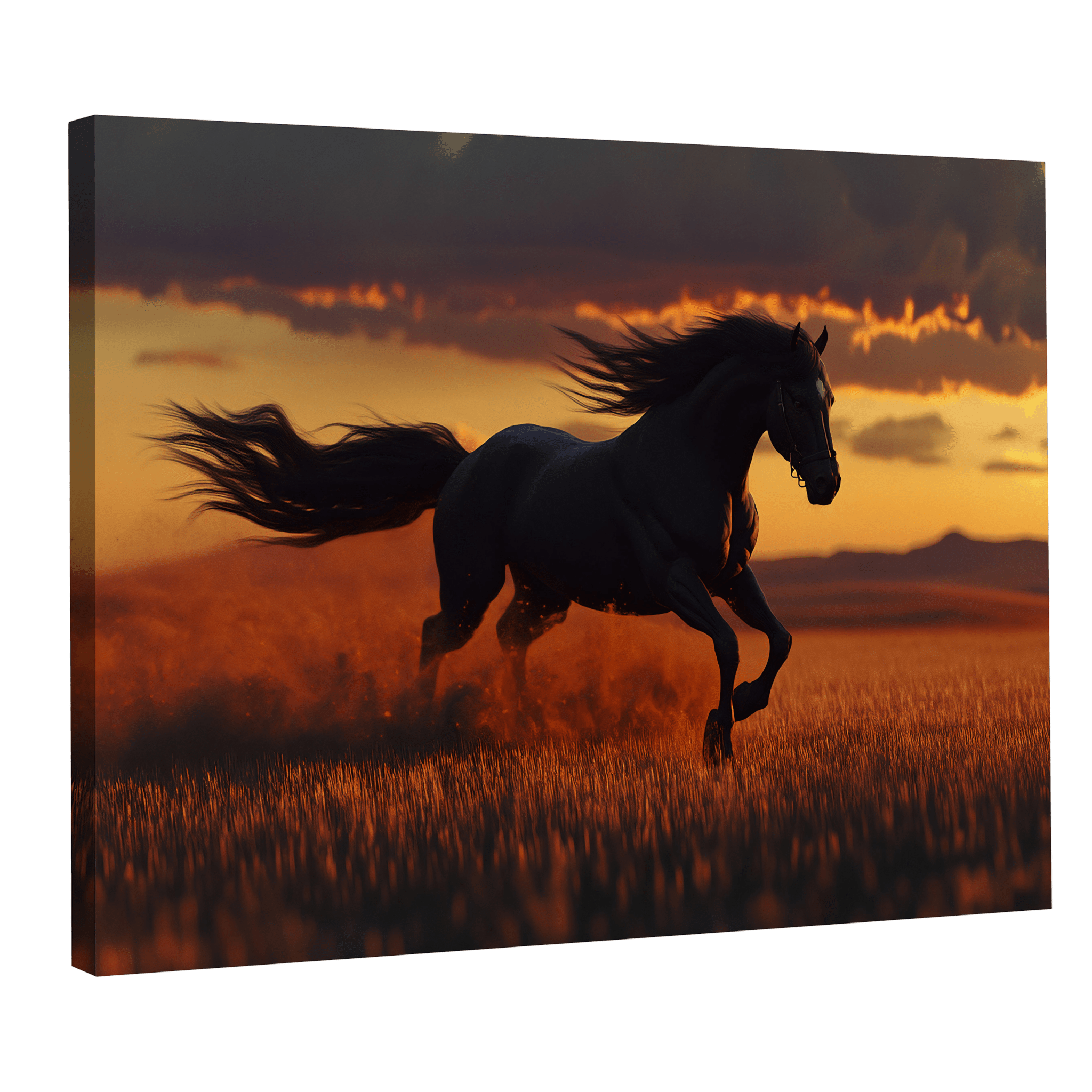 Tableau Cheval - La Maison Du Tableau