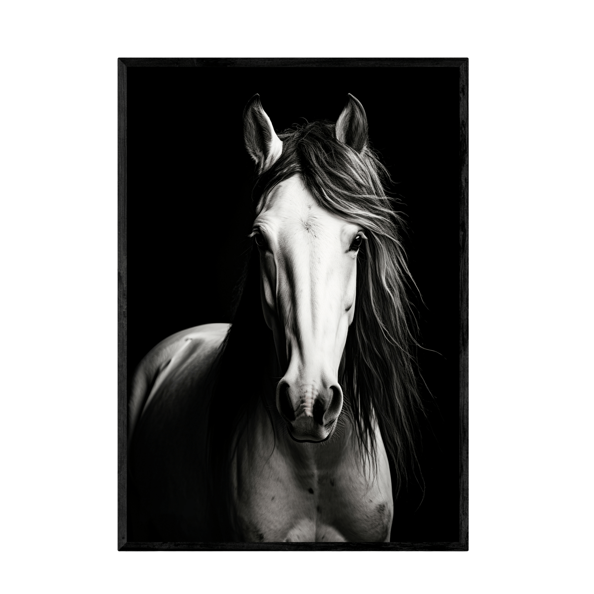 Tableau Cheval Noir et Blanc - La Maison Du Tableau