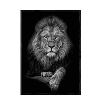 Tableau Noir et Blanc Lion - La Maison Du Tableau