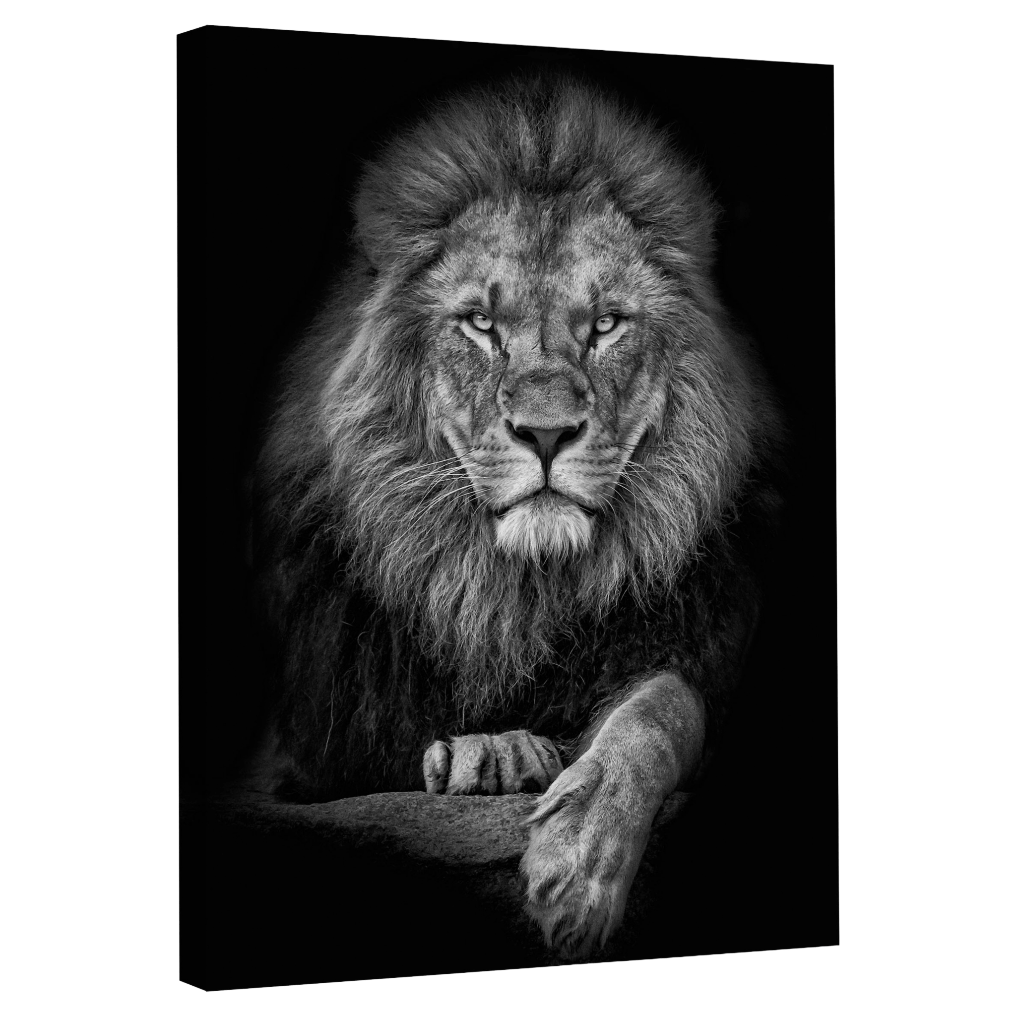 Tableau Noir et Blanc Lion - La Maison Du Tableau