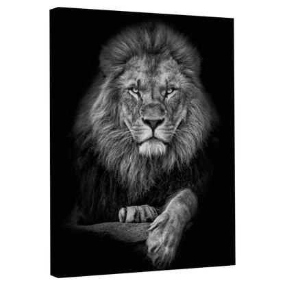 Tableau Noir et Blanc Lion - La Maison Du Tableau
