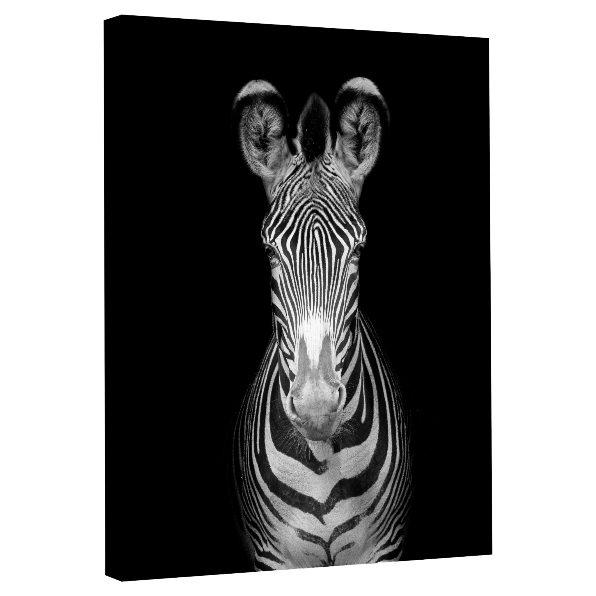 Tableau Noir et Blanc Zèbre - La Maison Du Tableau