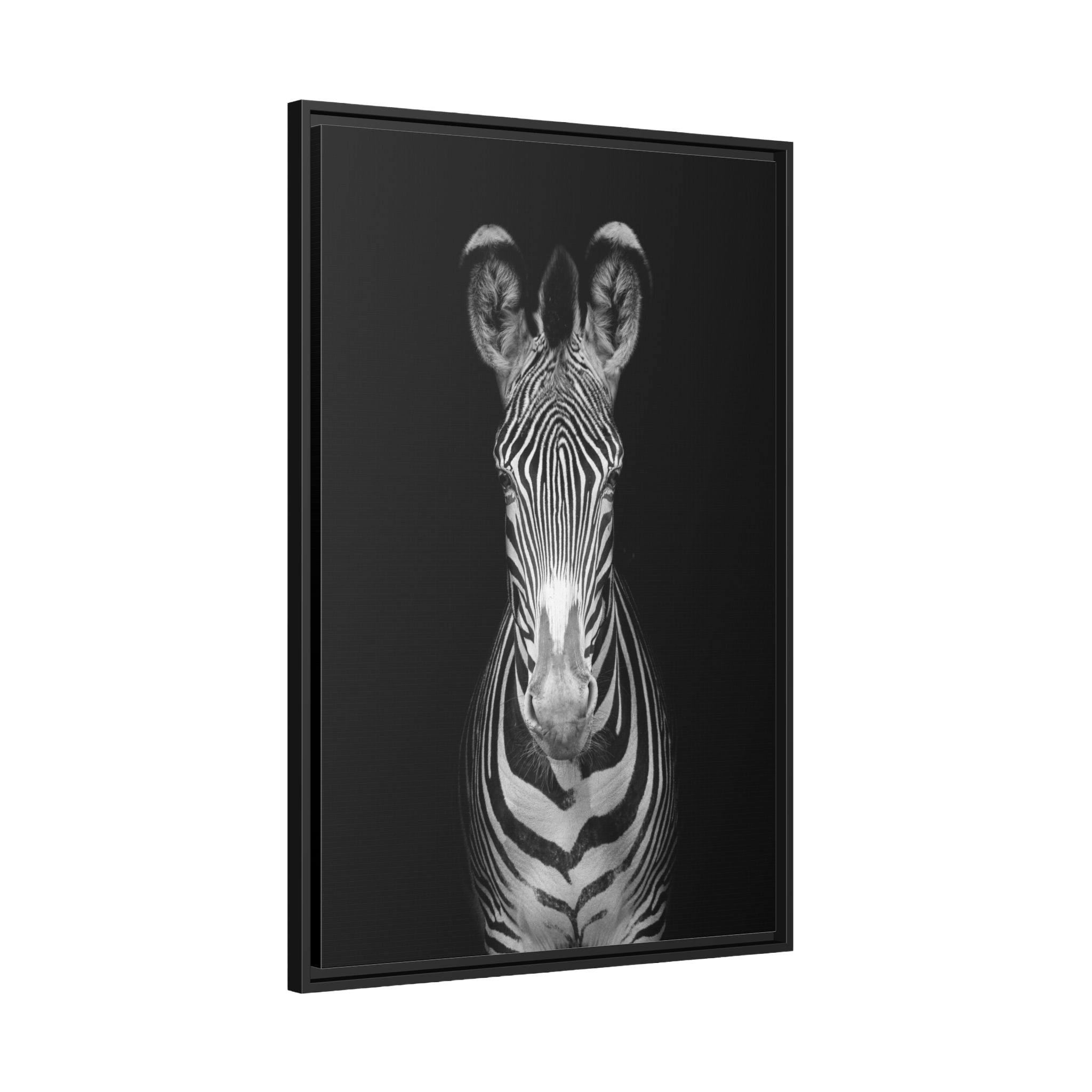 Tableau Noir et Blanc Zèbre - La Maison Du Tableau