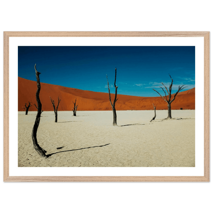 Tableau Photographie Désert du Namib - La Maison Du Tableau