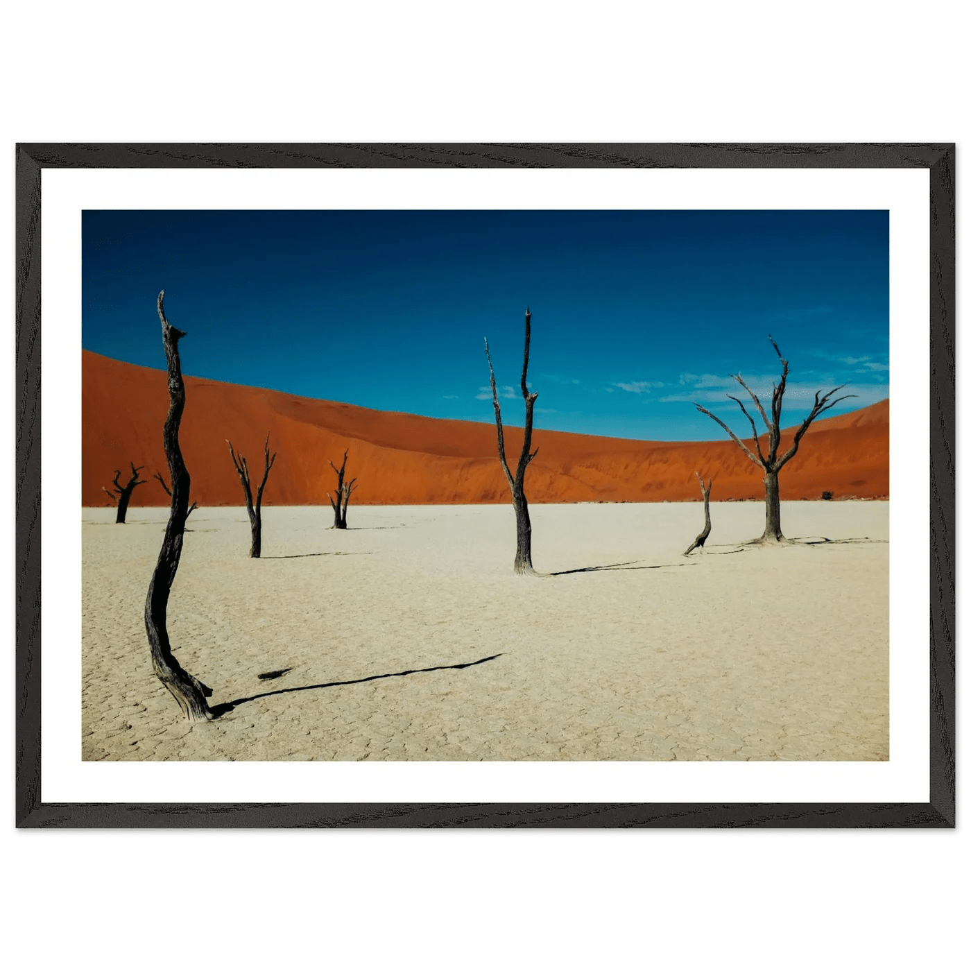 Tableau Photographie Désert du Namib - La Maison Du Tableau