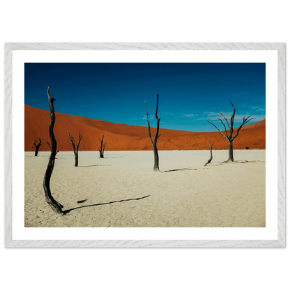 Tableau Photographie Désert du Namib - La Maison Du Tableau