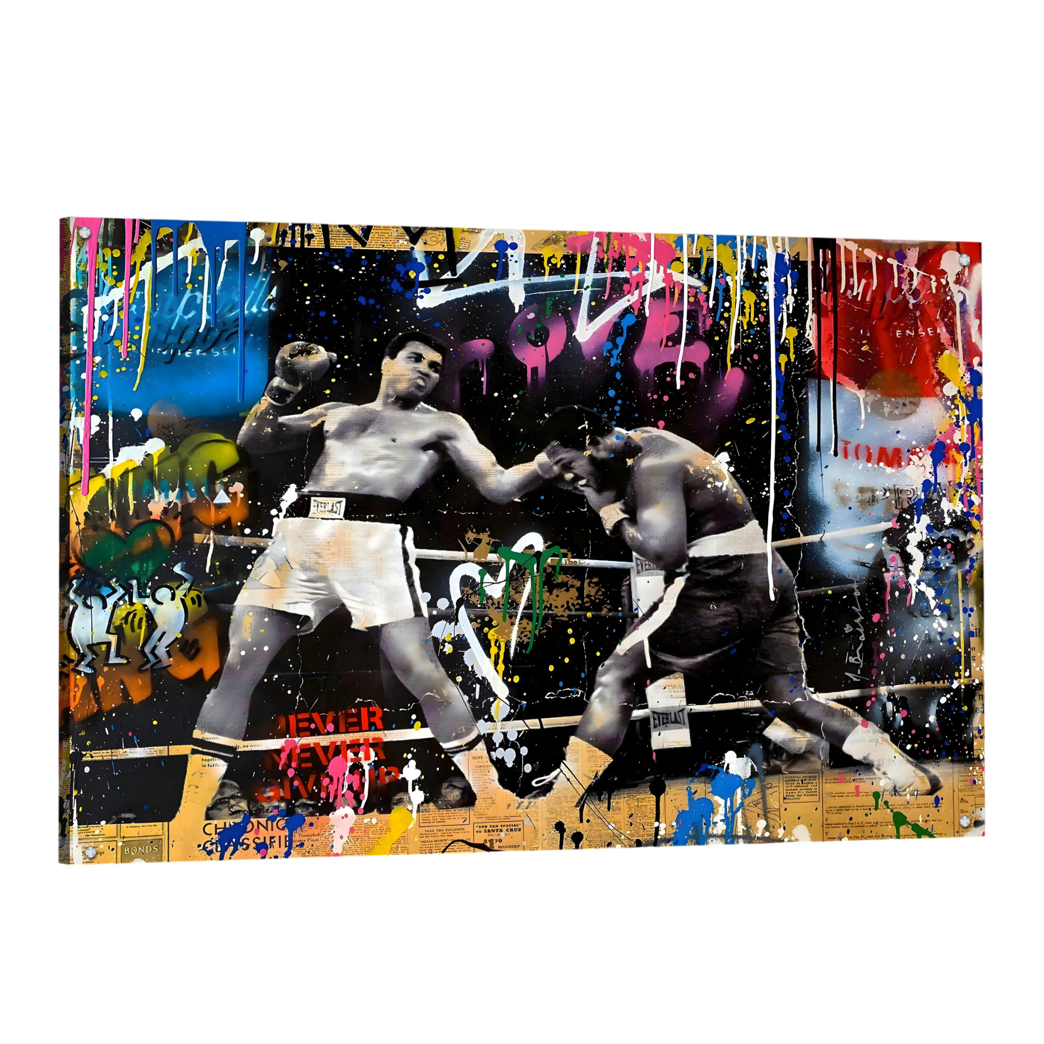 Tableau Street Art Ali - La Maison Du Tableau