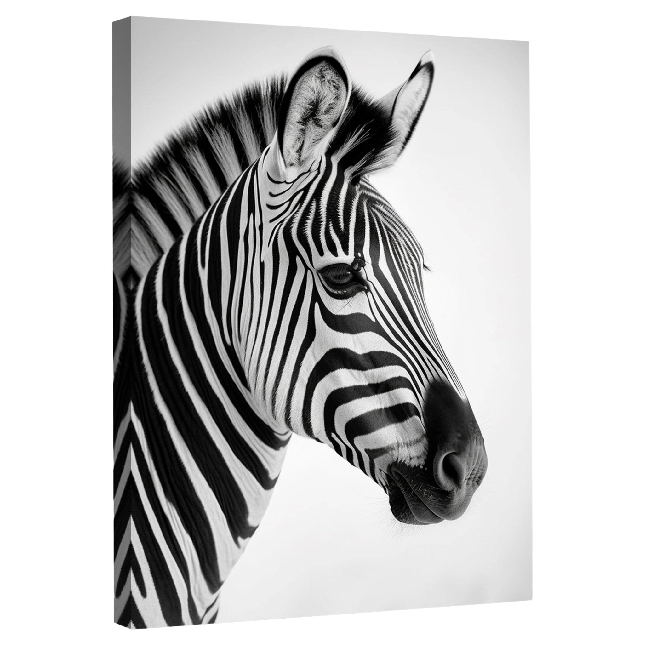 Tableau Zèbre Noir et Blanc - La Maison Du Tableau